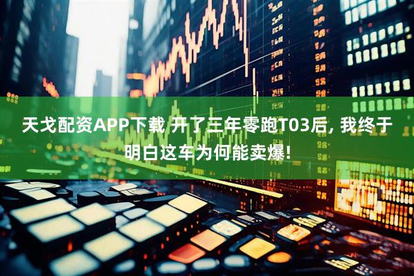 天戈配资APP下载 开了三年零跑T03后, 我终于明白这车为何能卖爆!