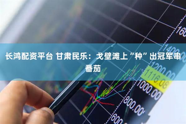 长鸿配资平台 甘肃民乐：戈壁滩上“种”出冠军串番茄