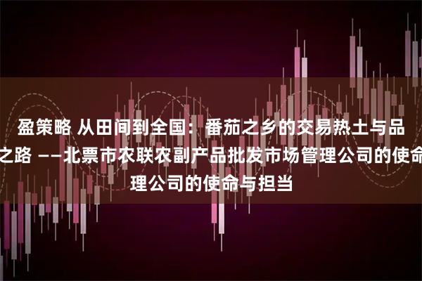 盈策略 从田间到全国：番茄之乡的交易热土与品牌崛起之路 ——北票市农联农副产品批发市场管理公司的使命与担当
