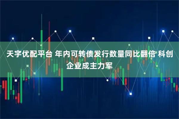 天宇优配平台 年内可转债发行数量同比翻倍 科创企业成主力军